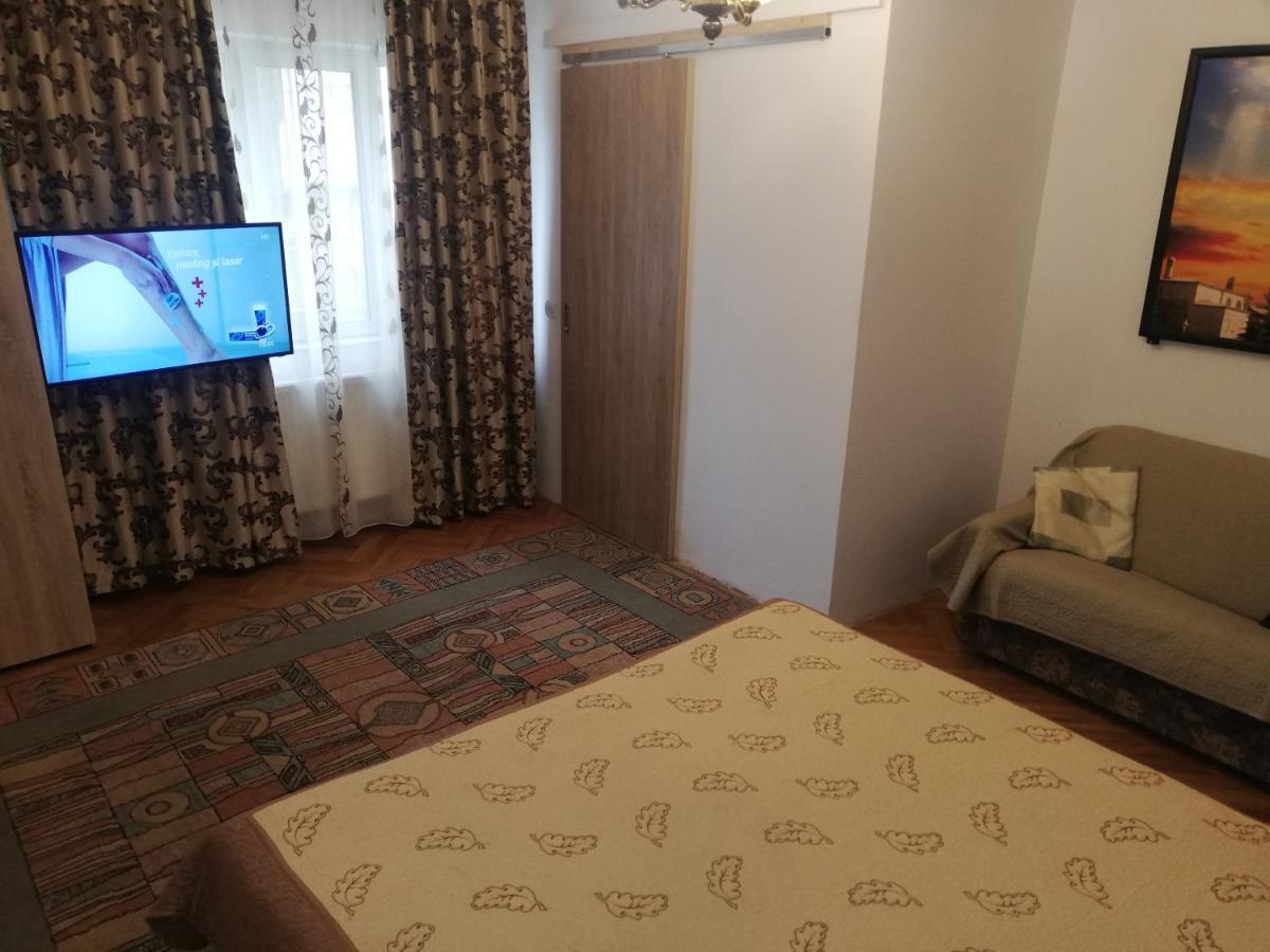 Casa Bucur Hotel Aknavásár Kültér fotó